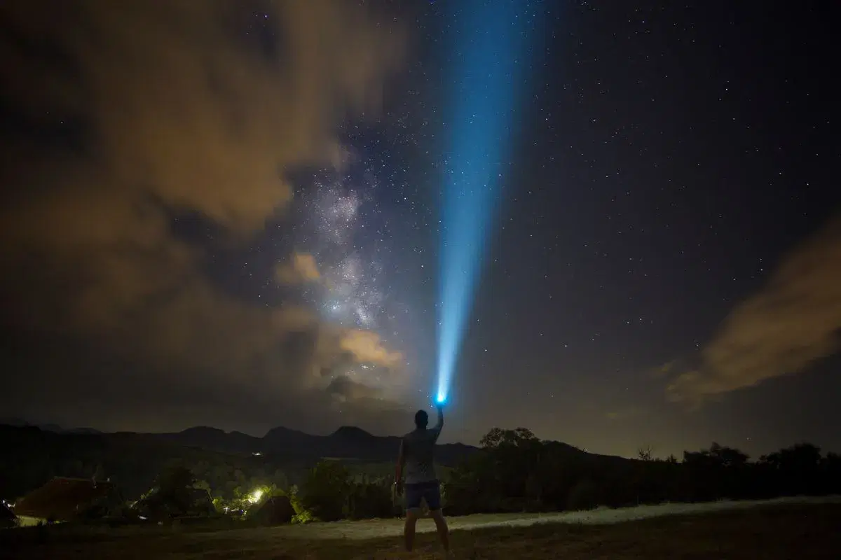 Image featuring lighting, outdoors, nature, and night
