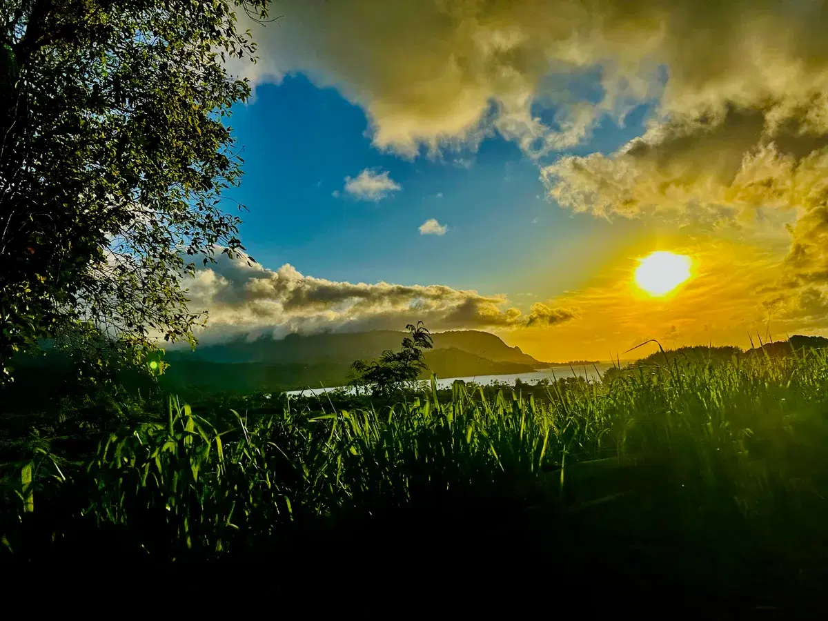 Image featuring nature, outdoors, sky, and scenery