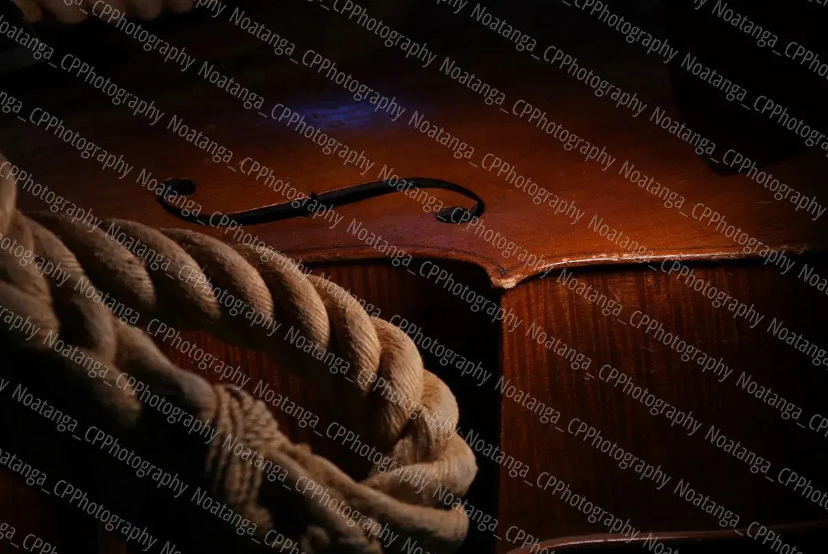 Work by Captured Pixels Photography