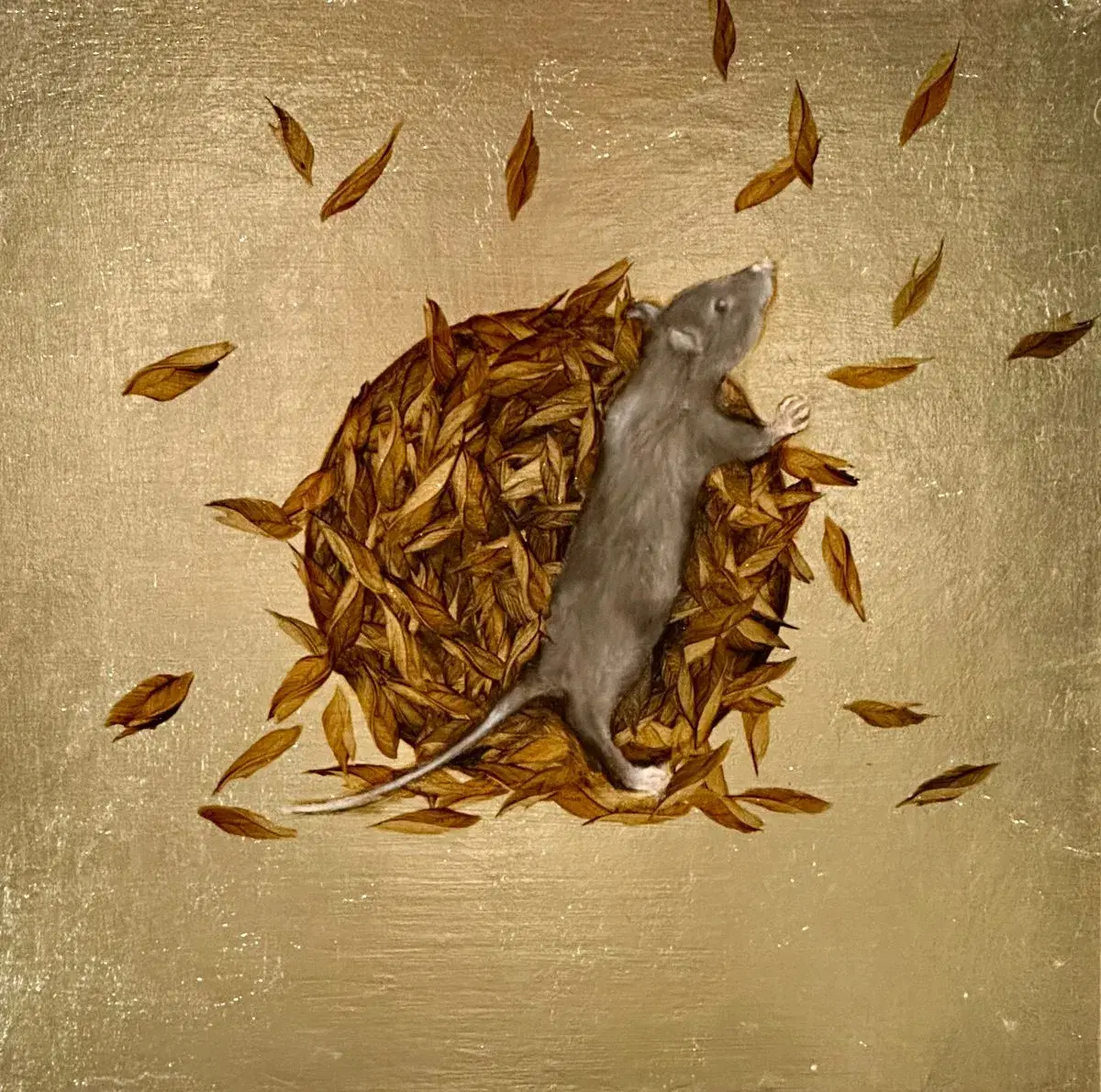 Elena Lagun — Painter