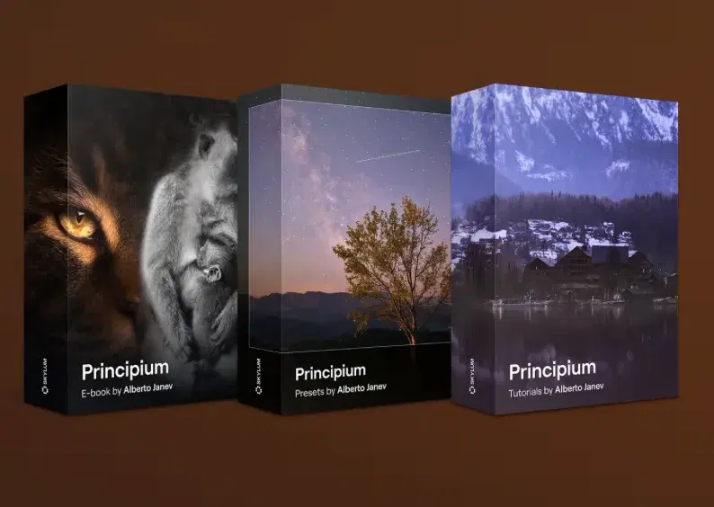 PRINCIPIUM